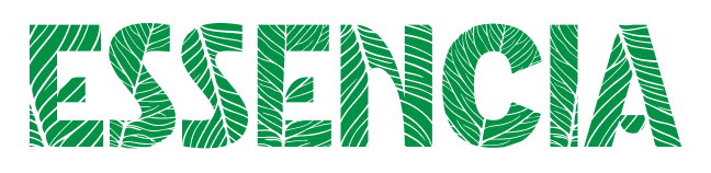 LOGO PROGRAMME